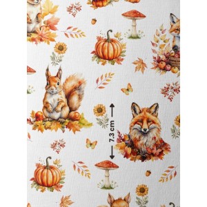  Tissu coton Renard et Ecureuil d'automne enfant Oeko-Tex® Mercerie des Princesses