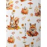  Tissu coton Renard et Ecureuil d'automne enfant Oeko-Tex® Mercerie des Princesses