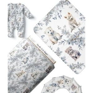 Collection Merveilles de la Banquise